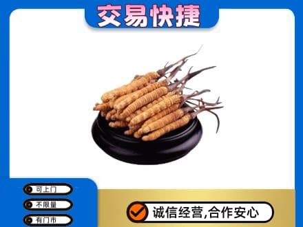 荆门市沙洋回收冬虫夏草多少钱每克